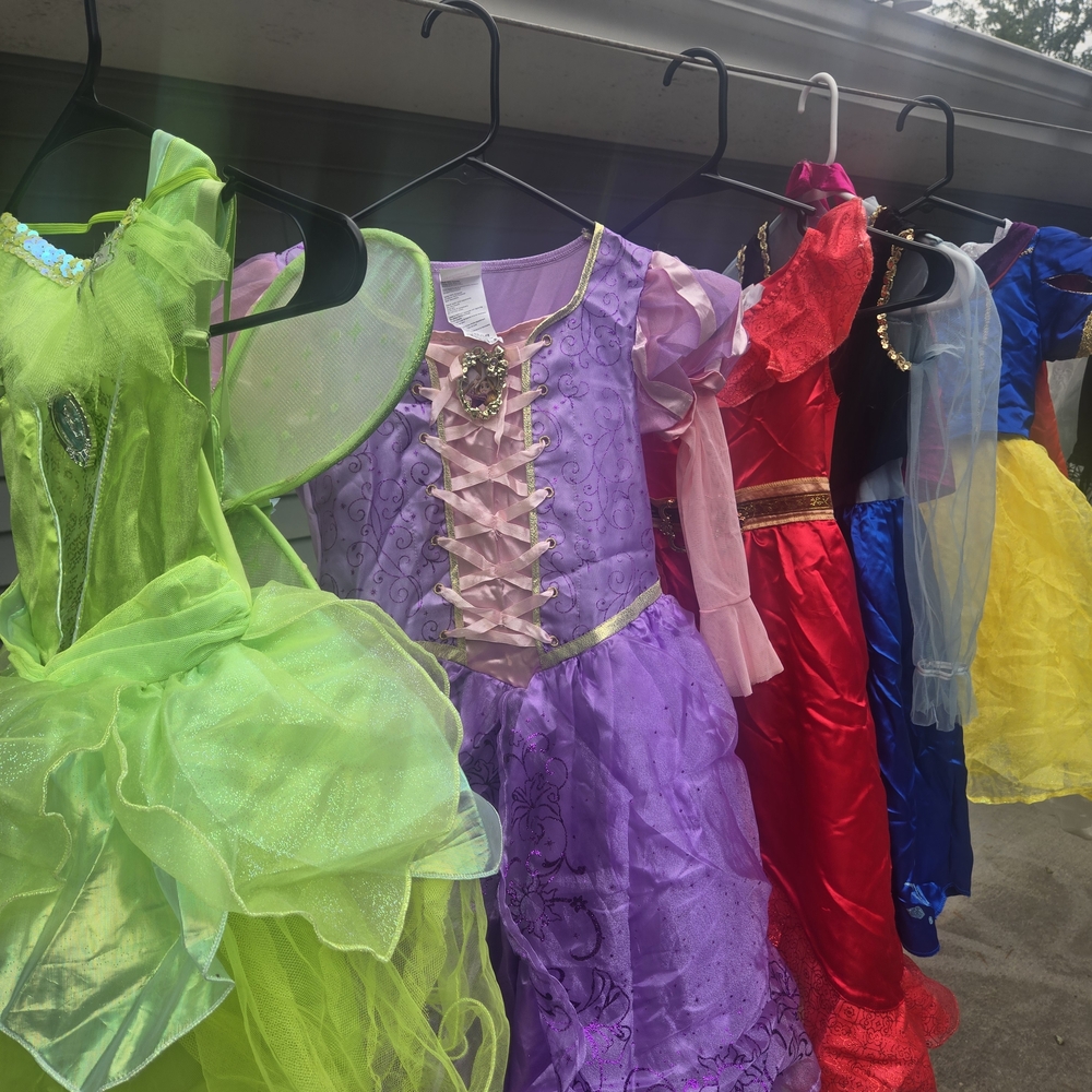 Disney Princess Dresses